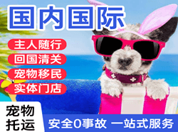 遵义茅台航空物流国际宠物托运 【国